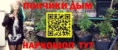 spice Коммунар