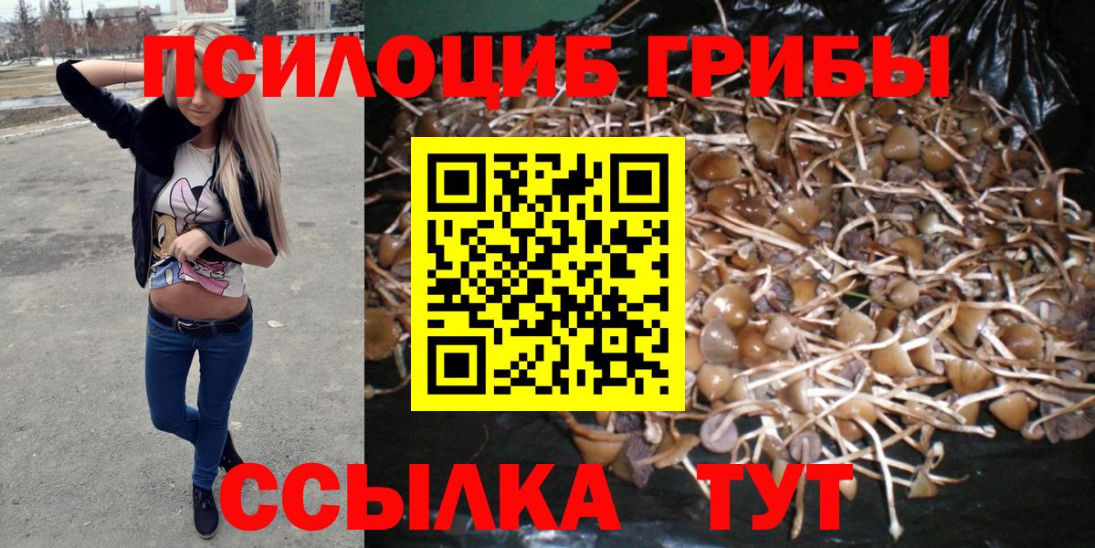 Псилоцибиновые грибы мухоморы  Псилоцибиновые грибы MAGIC MUSHROOMS  Аксай  Вход с VPN 