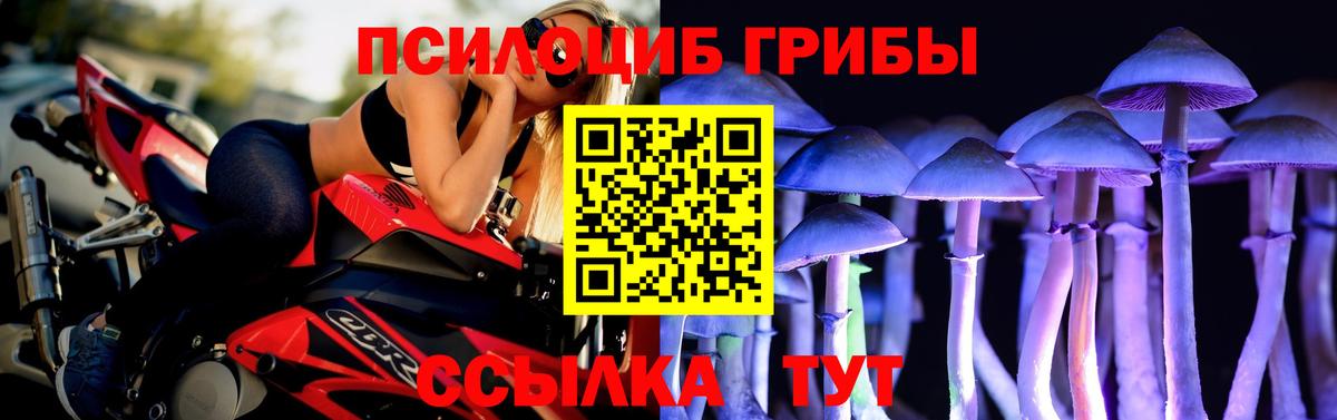 Псилоцибиновые грибы Psilocybe Аксай